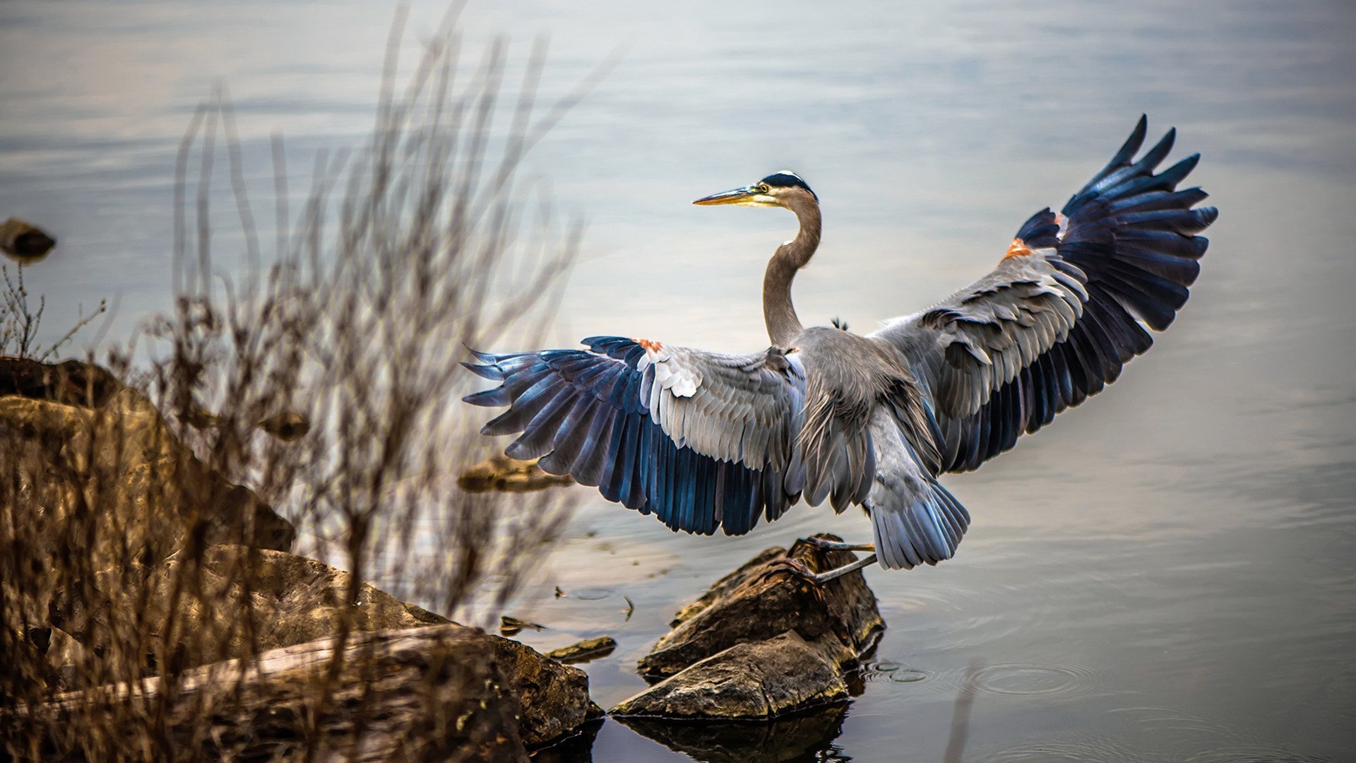 开云中国-国际游泳联盟加强反兴奋剂措施，确保赛事公平，国际游泳联合会总部设在哪里