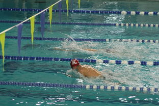 开云网站-张雨霏自由泳接力助队夺冠，张雨霏自由泳接力助队夺冠了吗